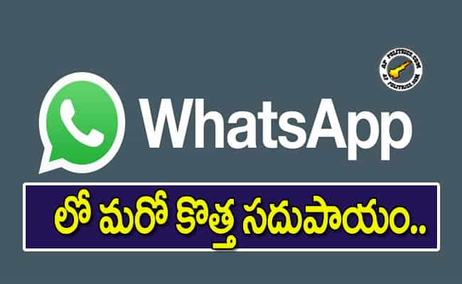 Whatsapp Contacts